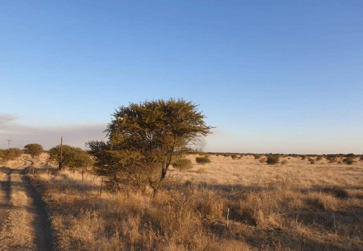 Screenshot 2023-01-30 134647