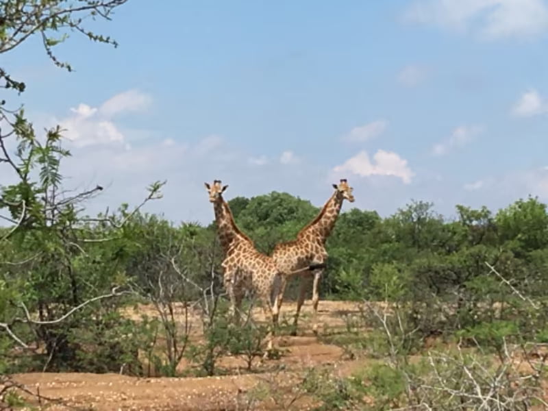 a9c4a749-09fb-4349-b732-8c1550cde3b5