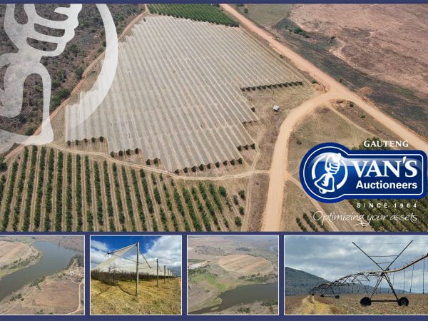 thumb__600_450_0_0_crop (3)